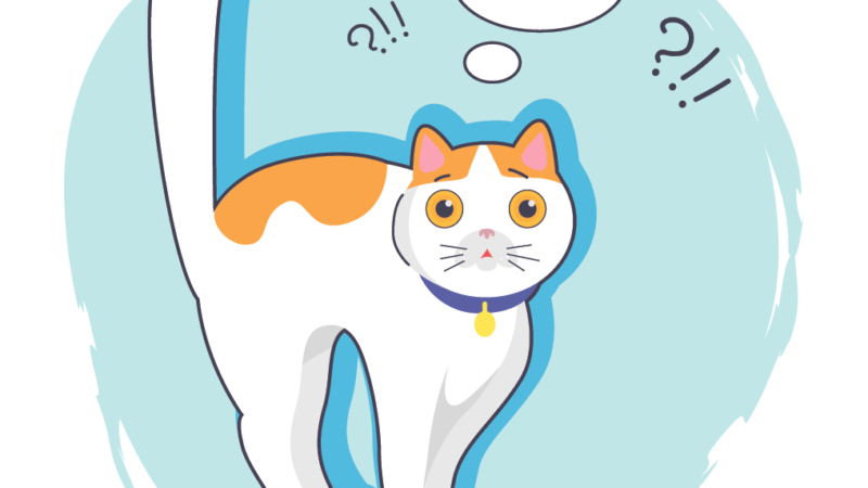 “As a Service”… Ma chi ti conosce?